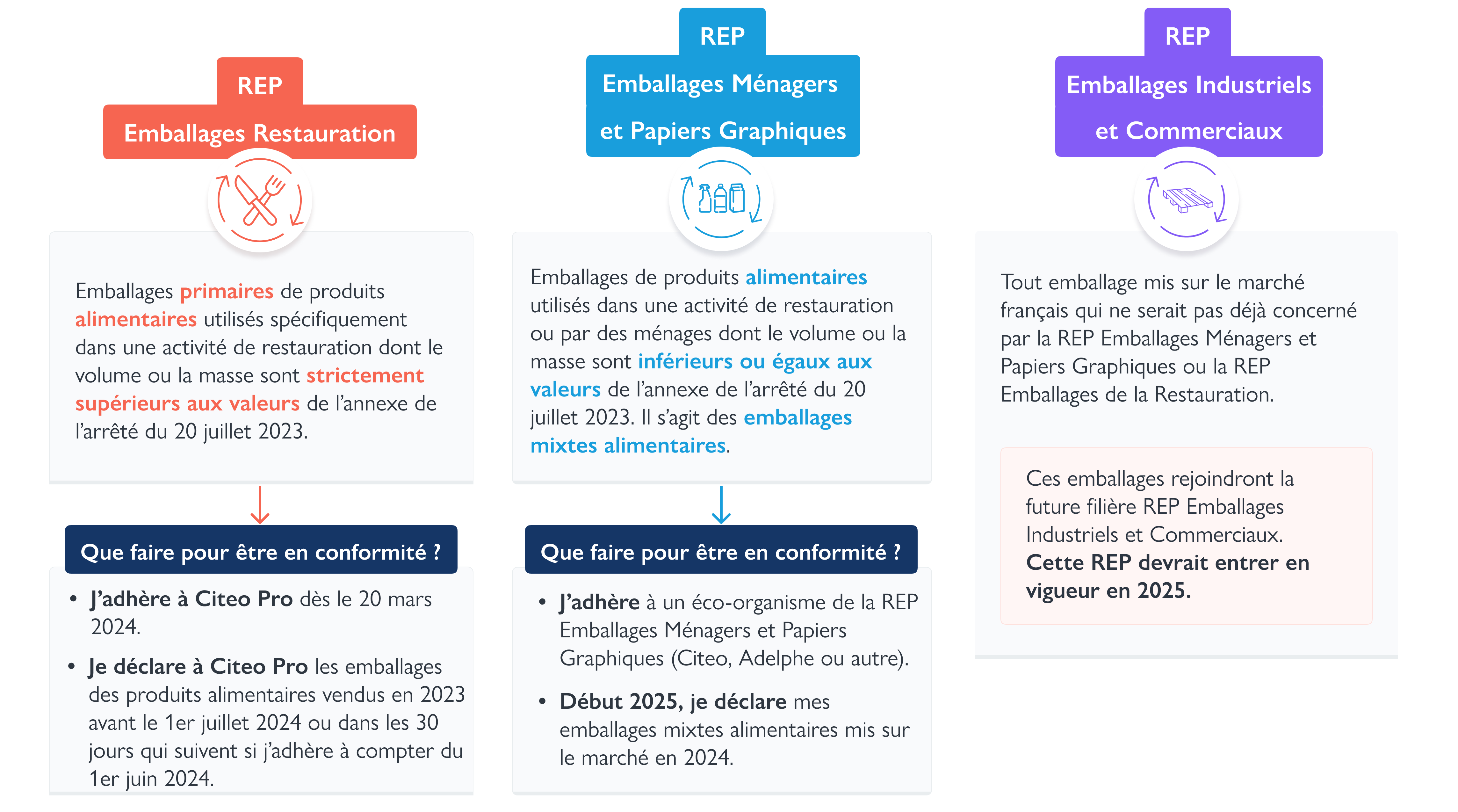 Infographies-Perimetre-REP